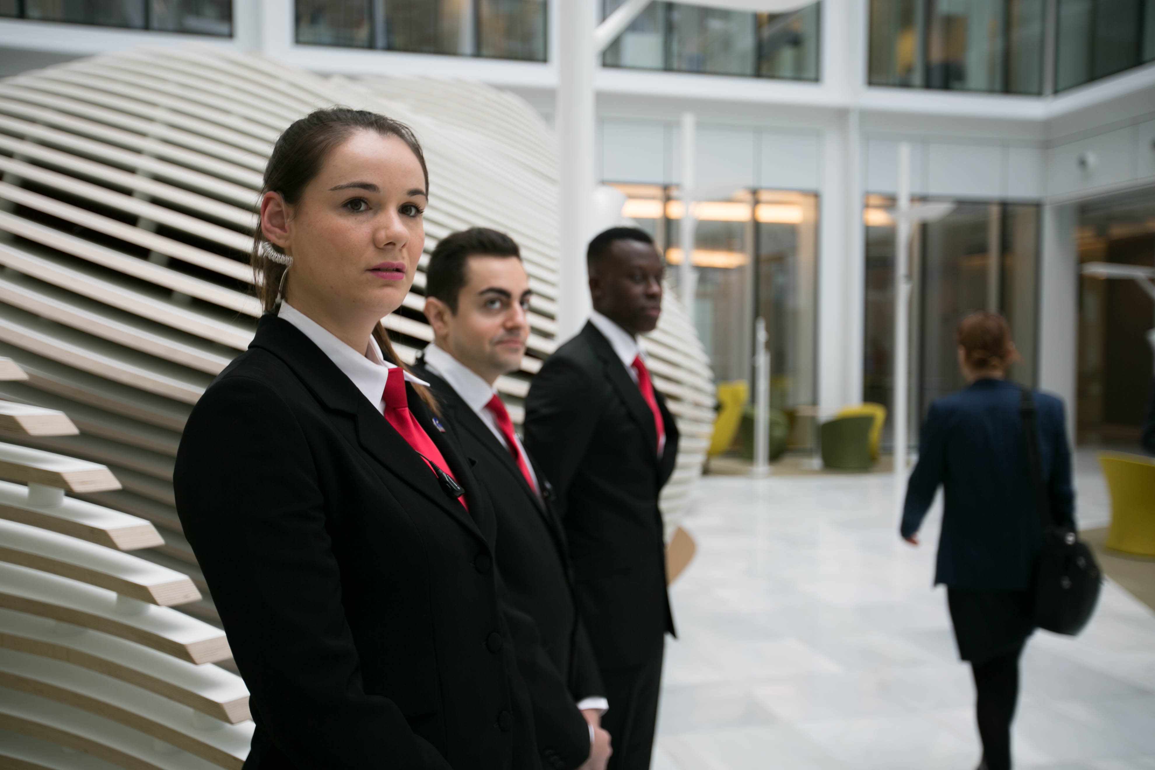 Agent de Sécurité H/F - Gron (89) - CDI